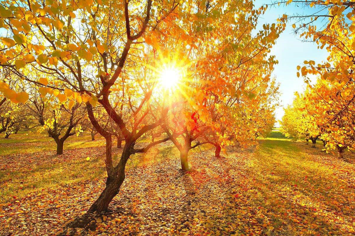 為什么秋季裝修異味這么重？甲醛超標(biāo)怎么辦