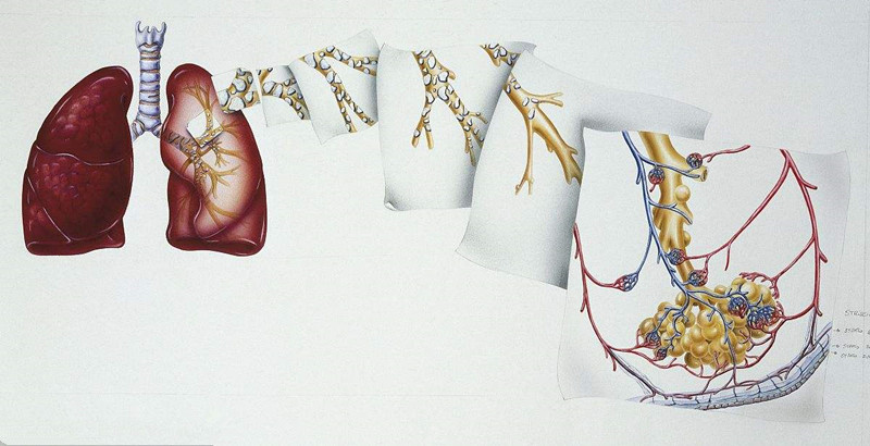 如何進(jìn)行甲醛治理？沒有治理過的空氣就像虐待肺