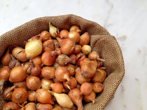 那些年，令我們哭笑不得的除甲醛經(jīng)歷……