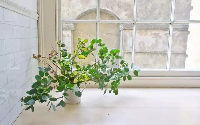 通風(fēng)半年甲醛仍超標(biāo)？甲醛治理要注意