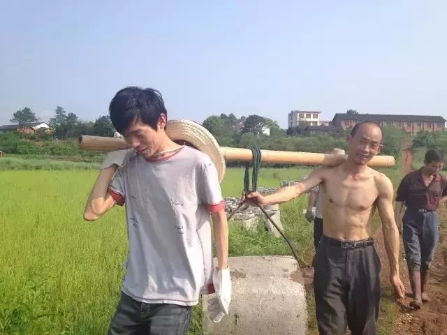 青春是用來(lái)奮斗的，除甲醛的青春最美麗！