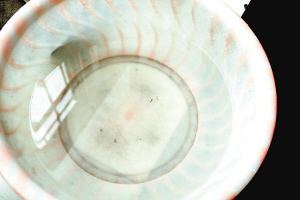 疫苗事件背后：您是否想過(guò)除甲醛產(chǎn)品也存在無(wú)效情況？