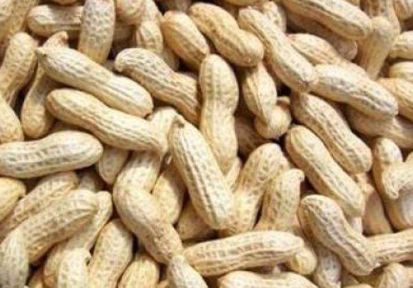 水煮花生含甲醛？實(shí)測多家燒烤店結(jié)果太可怕！