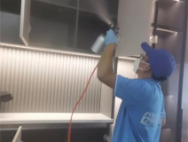 偏方真的能除甲醛嗎？