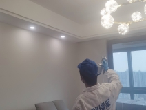 偏方真的能除甲醛嗎？