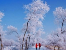 如何解決冬季室內(nèi)和車內(nèi)環(huán)境污染問題的問題呢？