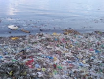 現(xiàn)代人生活節(jié)奏過快，卻導(dǎo)致環(huán)境空氣污染越來越嚴(yán)重