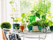 甲醛治理看的見，你的健康我來保護(hù)