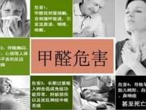 哪些綠植可以除甲醛？