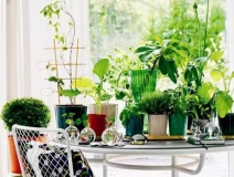 多數(shù)業(yè)主家庭裝修“偽環(huán)?！?您被中招了嗎？