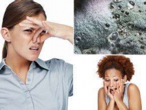 家里有異味怎么辦？科學(xué)除味、治理甲醛就對(duì)了！