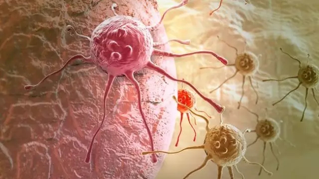 癌癥、白血病越來越多，是因?yàn)闀r(shí)代在進(jìn)步而導(dǎo)致的嗎？