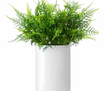 杭州甲醛治理小妙招